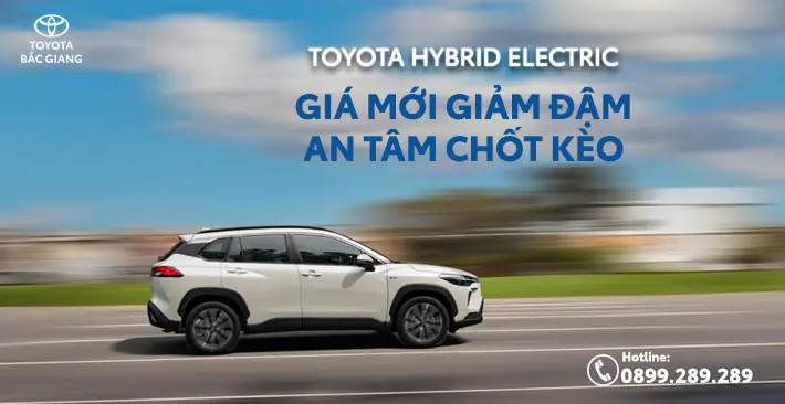 Hibbard Toyota Là Gì? Tổng Quan Về Đại Lý Và Dịch Vụ