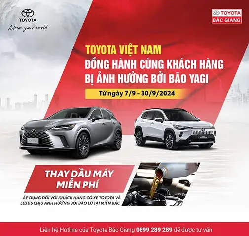 Hotline Toyota Vietnam: Tổng Hợp Thông Tin Liên Hệ, Dịch Vụ Hỗ Trợ Và Cách Sử Dụng Hiệu Quả