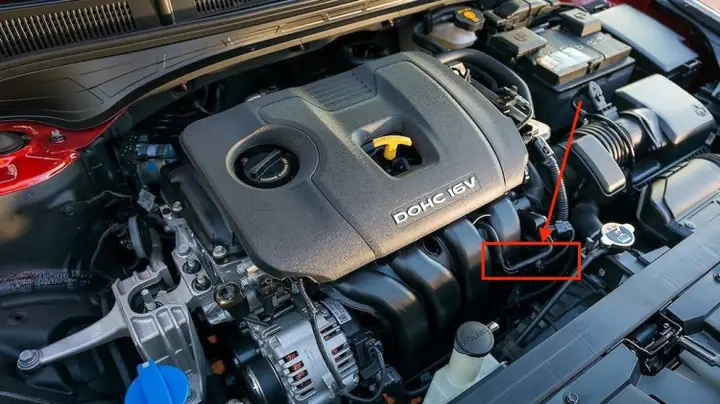 Mazda 3: Tình Trạng Chuột Cắn Dây Khoang Động Cơ Và Cách Kiểm Tra Hiệu Quả
