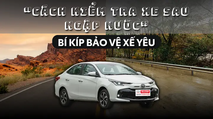 Logo Toyota Sure: Ý Nghĩa Và Cách Nhận Diện