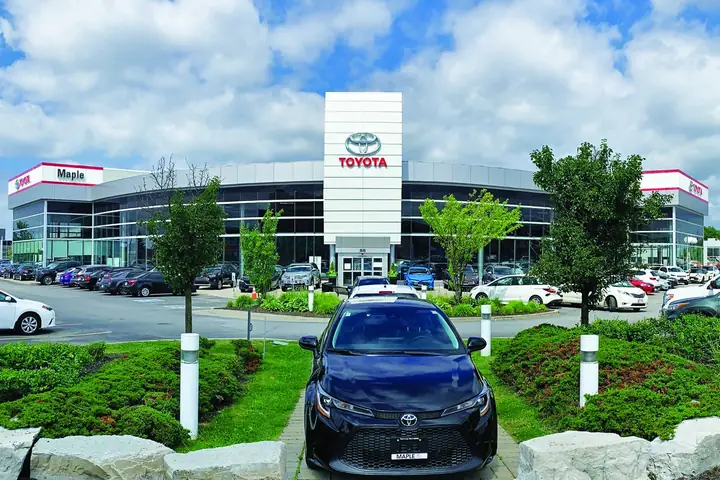 Maple Toyota Là Gì? Tổng Quan Chi Tiết Về Thương Hiệu Và Dịch Vụ