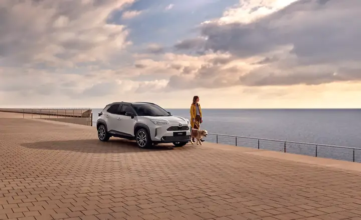 Market Toyota Athlone: Cơ Hội Đầu Tư, Mua Bán Và Dịch Vụ Ô Tô Uy Tín Tại Thành Phố Athlone