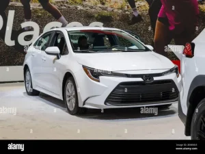 Thị Trường Toyota Ở Culemborg: Cơ Hội, Thách Thức Và Chiến Lược Phát Triển
