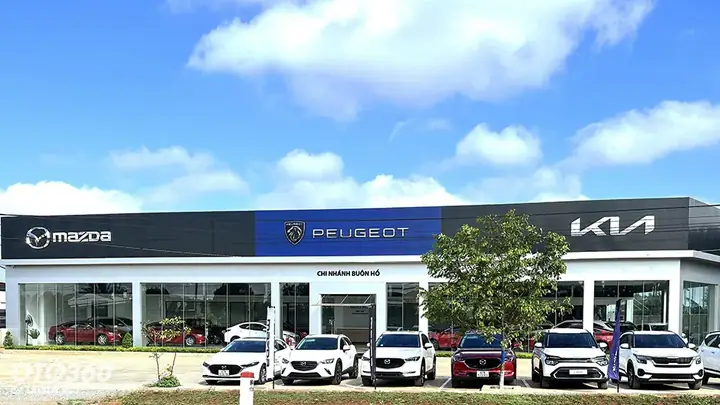 Mazda Đắk Lắk: Showroom Trực Thuộc Hay Đại Lý Chính Hãng? Giải Đáp Chi Tiết