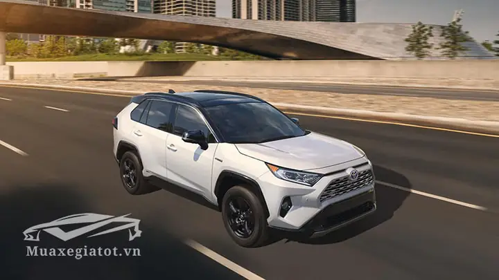 Mua Toyota Rv4: Hướng Dẫn Toàn Diện Từ Lựa Chọn Đến Sở Hữu Mua Toyota Rv4: Hướng Dẫn Toàn Diện Từ Lựa Chọn Đến Sở Hữu