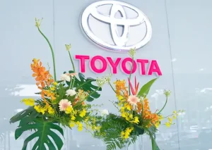 Omotenashi Toyota – Khái Niệm, Lịch Sử Và Ứng Dụng Trong Ngành Ô Tô