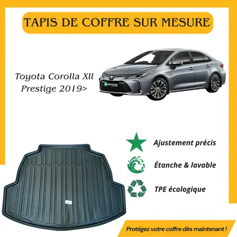 Tapis Toyota: Hướng Dẫn Lựa Chọn & Bảo Dưỡng Chi Tiết Tapis Toyota: Hướng Dẫn Lựa Chọn & Bảo Dưỡng Chi Tiết