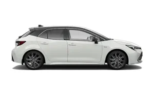Taree Toyota Là Gì? Giải Đáp Mọi Thắc Mắc Về Dòng Xe Toyota Tại Thị Trường Đông Nam Á