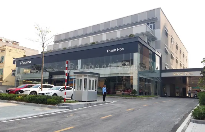 Thông Tin Phó Giám Đốc Showroom Mazda Thanh Hoa: Vai Trò Và Tầm Ảnh Hưởng