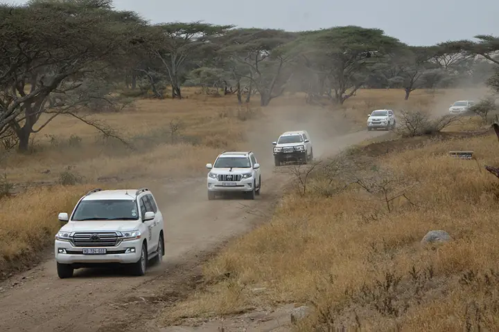 Toyota Africa: Tổng Quan Về Hoạt Động, Thị Trường Và Chiến Lược Phát Triển