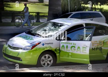 Toyota Algae – Tiềm Năng Và Ứng Dụng Trong Ngành Ô Tô Hiện Đại
