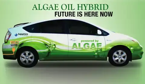 Toyota Algae – Tiềm Năng Và Ứng Dụng Trong Ngành Ô Tô Hiện Đại