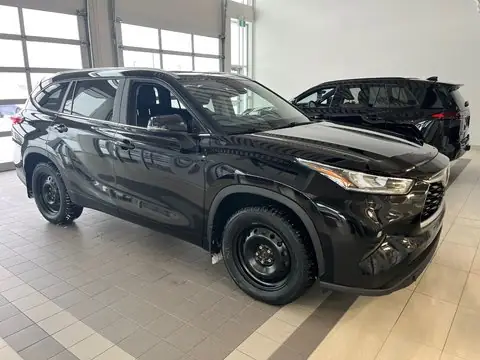 Toyota Amos Là Gì? Giải Thích Chi Tiết Về Mẫu Xe Mới