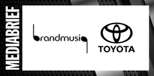 Toyota Brand Identity: Định Nghĩa Và Các Yếu Tố Cốt Lõi