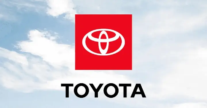 Toyota Bursary Là Gì? Giải Thích Chi Tiết Về Học Bổng Toyota