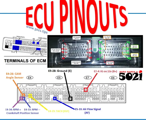 Toyota Ecu Pinout: Hướng Dẫn Chi Tiết Các Đầu Nối Điện Và Ứng Dụng Thực Tiễn