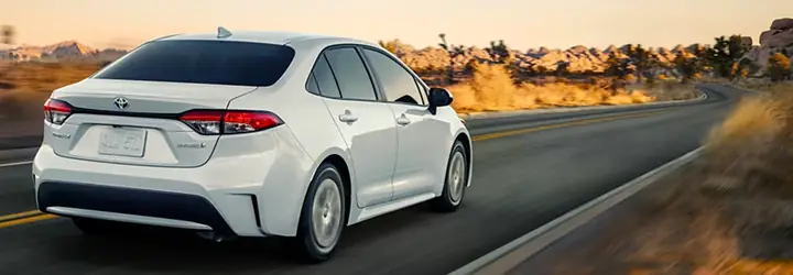 Toyota Island Là Gì? Tổng Quan Về Dự Án Và Ý Nghĩa Trong Ngành Ô Tô