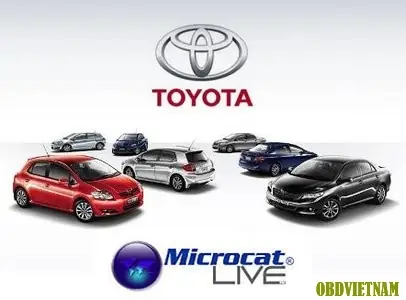 Toyota Live Là Gì? Tìm Hiểu Toàn Diện Về Nền Tảng Livestream Của Toyota