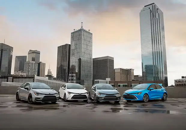 Toyota Local Là Gì? Hướng Dẫn Chi Tiết Về Dịch Vụ Và Ưu Điểm