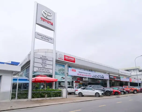 Toyota Ly: Tổng Quan Về Nhân Vật, Sự Nghiệp Và Những Đóng Góp Đáng Chú Ý