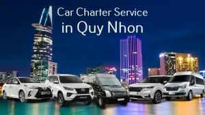 Toyota Quy Nhơn: Thông Tin Đại Lý, Dịch Vụ Và Mua Xe Mới