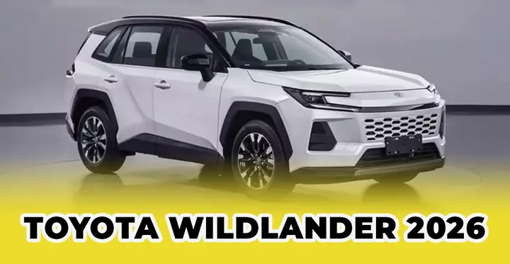 Toyota Wildlander Là Gì? Tổng Quan Chi Tiết Về Mẫu Suv Đa Dụng