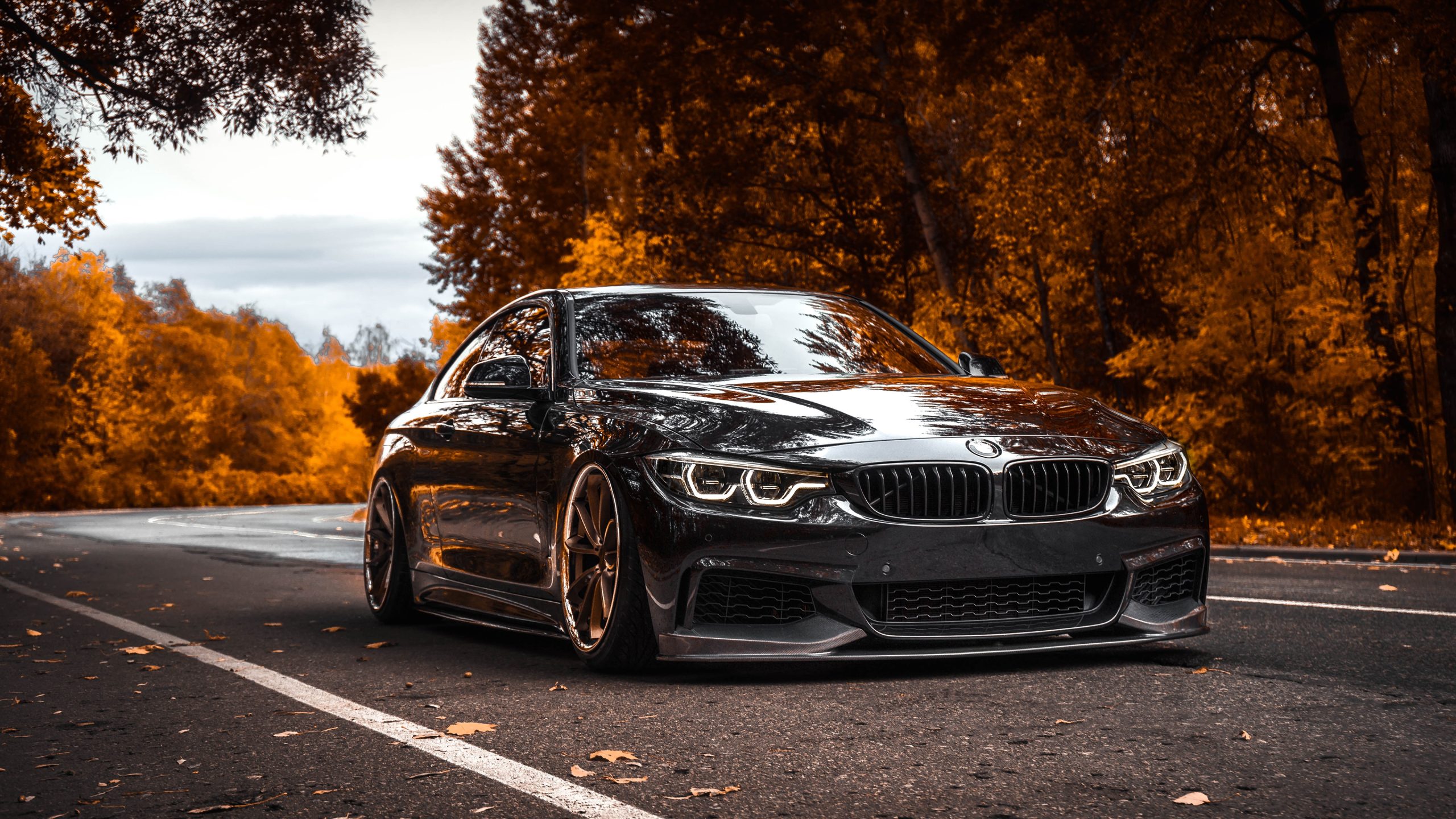 BMW 4K: Trải Nghiệm Đẳng Cấp Xa Xỉ Trên Màn Hình Siêu Nét 3 bmw 4k - Hình 1