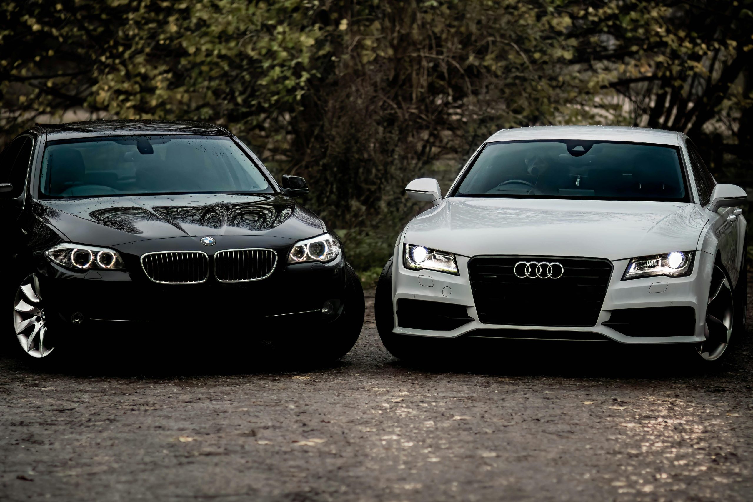 bmw audi - Hình 3