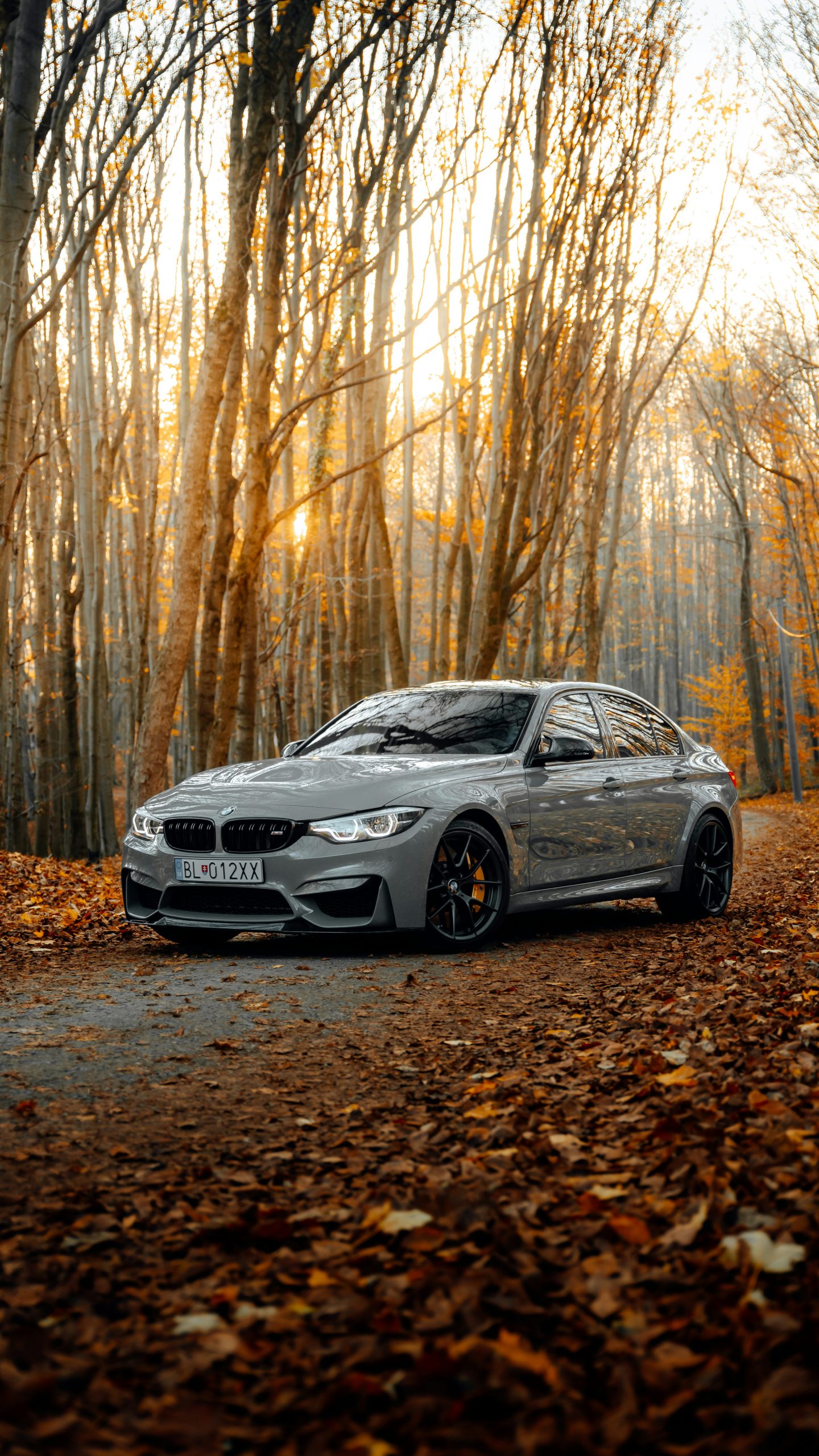 bmw background - Hình 2