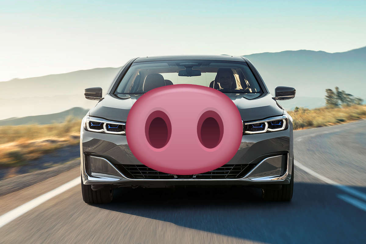 bmw big nose - Hình 3