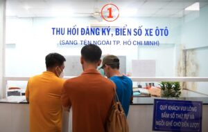 thu hồi biển số định danh